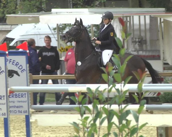 Reitturnier Walldorf/Winterheck 2017