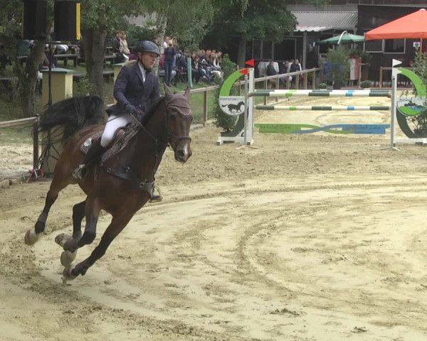 Reitturnier Walldorf/Winterheck 2017