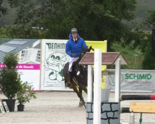 Reitturnier Öpfingen 2017