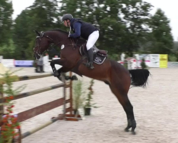 Reitturnier Öpfingen 2017