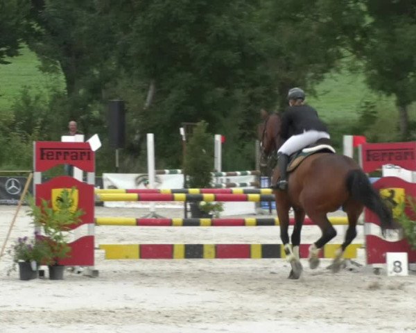 Reitturnier Öpfingen 2017