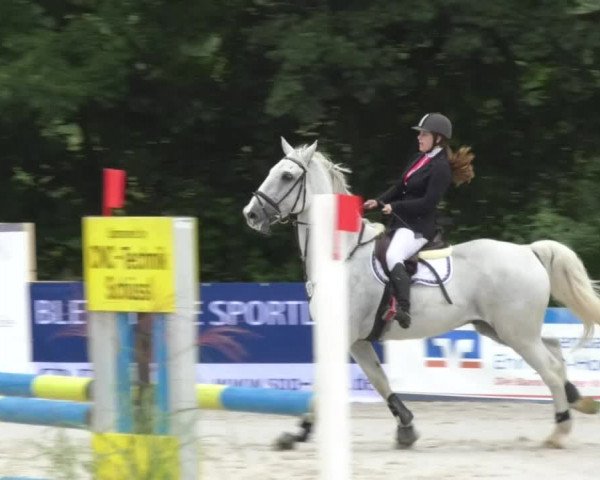 Reitturnier Öpfingen 2017