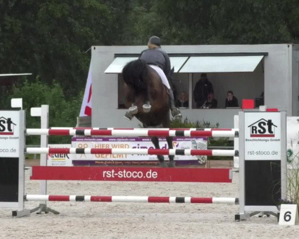 Reitturnier Öpfingen 2017