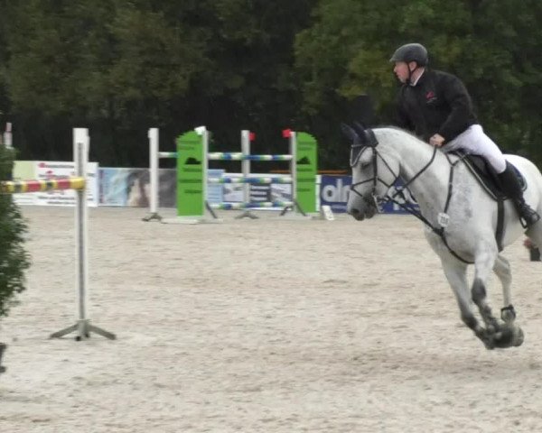 Reitturnier Öpfingen 2017
