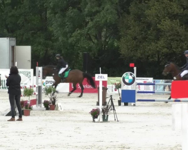 Reitturnier Öpfingen 2017