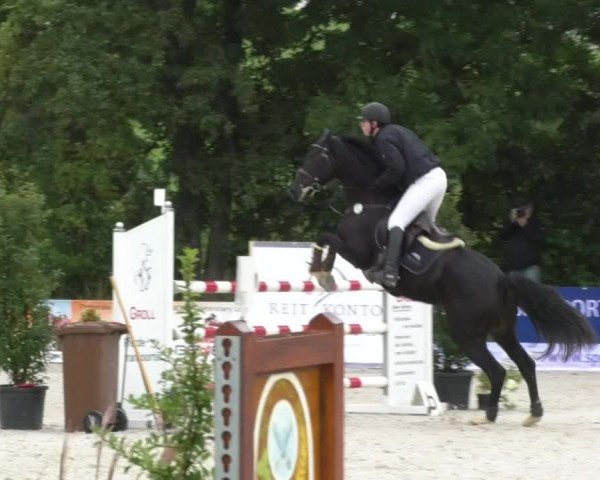 Reitturnier Öpfingen 2017