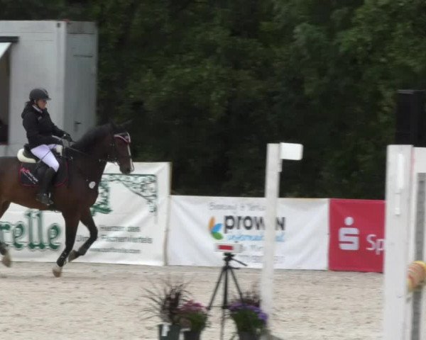 Reitturnier Öpfingen 2017