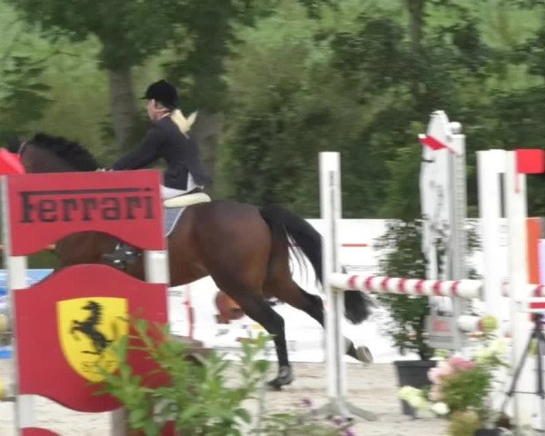 Reitturnier Öpfingen 2017