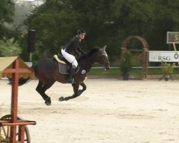 Reitturnier Öpfingen 2017