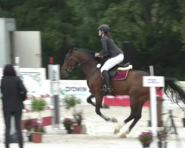 Reitturnier Öpfingen 2017