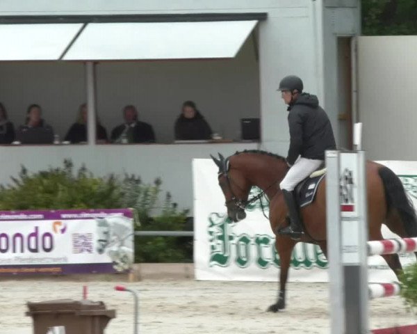 Reitturnier Öpfingen 2017