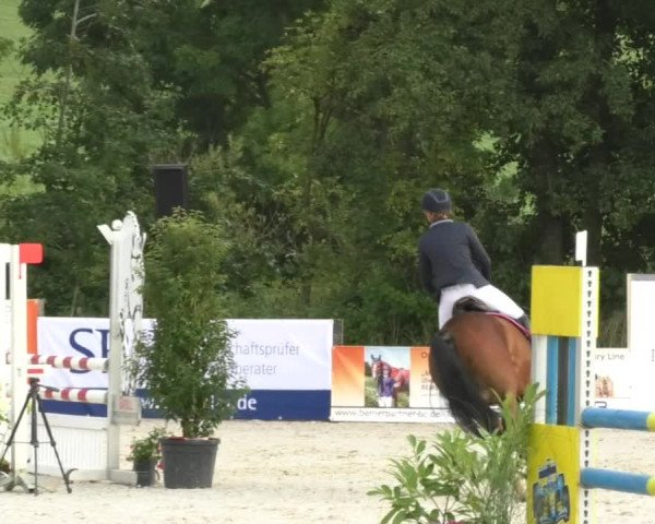 Reitturnier Öpfingen 2017