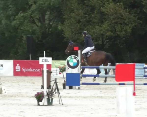 Reitturnier Öpfingen 2017