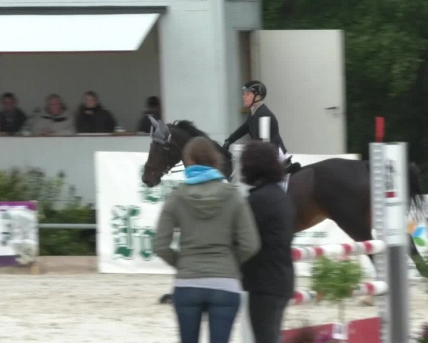 Reitturnier Öpfingen 2017