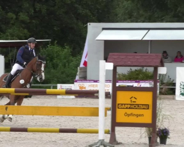 Reitturnier Öpfingen 2017