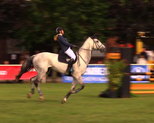 Reitturnier Münchehofe 2017
