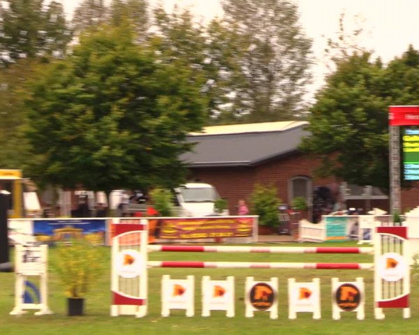 Reitturnier Münchehofe 2017
