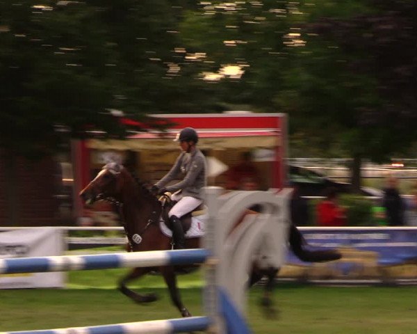 Reitturnier Münchehofe 2017