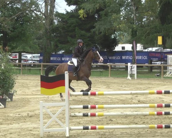 Reitturnier Walldorf/Winterheck 2017