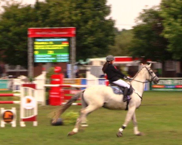 Reitturnier Münchehofe 2017