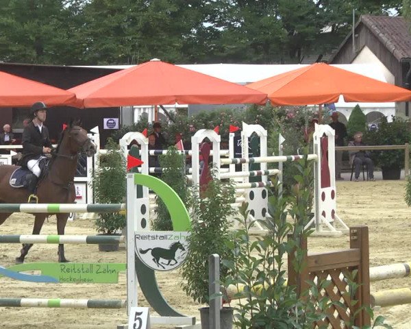 Reitturnier Walldorf/Winterheck 2017
