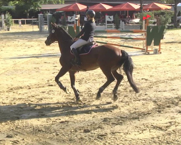 Reitturnier Walldorf/Winterheck 2017