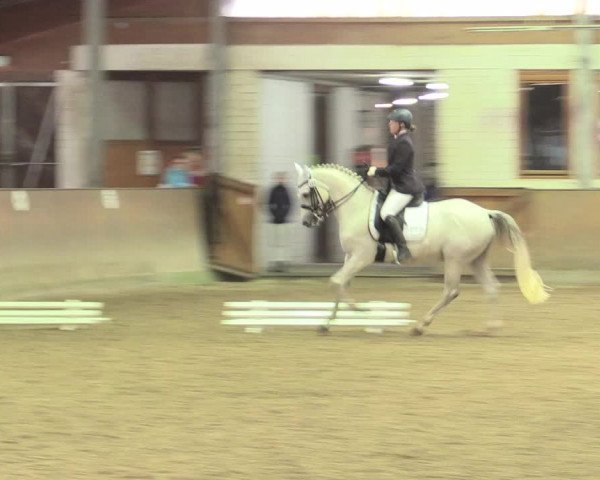 Reitturnier Appelhülsen 2017