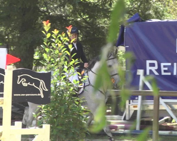 Reitturnier Walldorf/Winterheck 2017