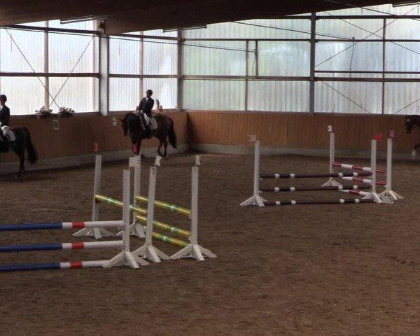 Reitturnier Herbern 2017