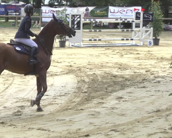 Reitturnier Walldorf/Winterheck 2017