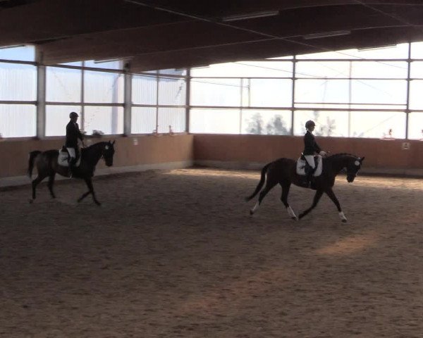Reitturnier Herbern 2017