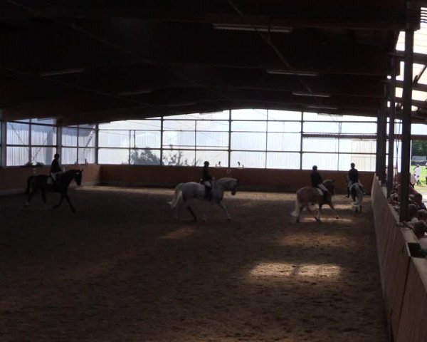 Reitturnier Herbern 2017