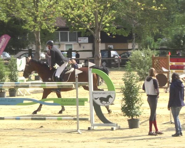 Reitturnier Walldorf/Winterheck 2017