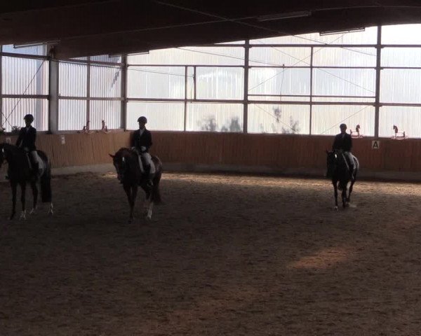 Reitturnier Herbern 2017