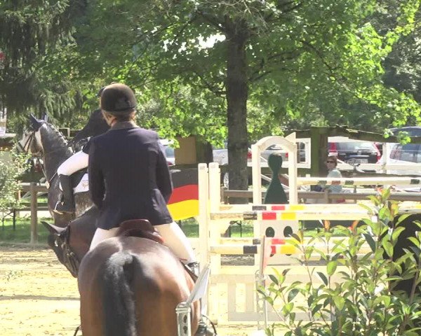 Reitturnier Walldorf/Winterheck 2017
