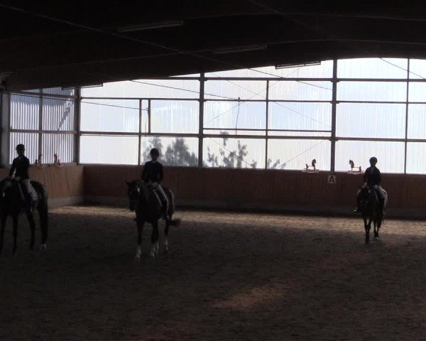 Reitturnier Herbern 2017