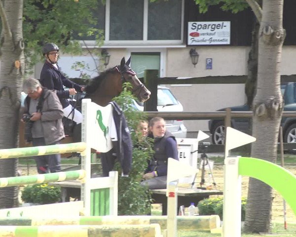 Reitturnier Walldorf/Winterheck 2017