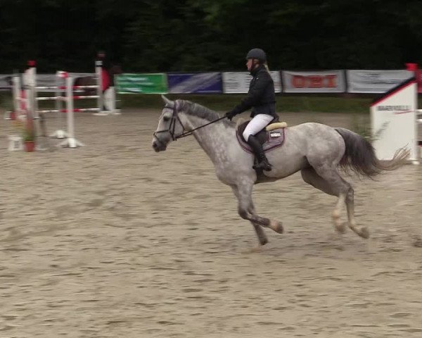 Reitturnier Meinerzhagen 2017