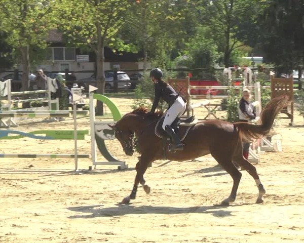 Reitturnier Walldorf/Winterheck 2017