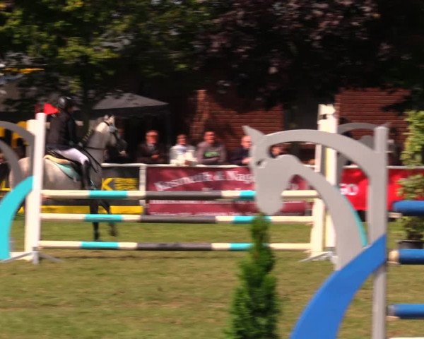 Reitturnier Münchehofe 2017