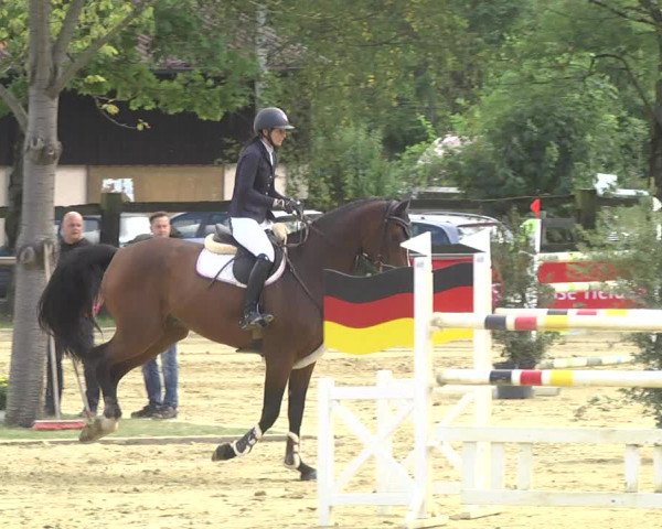 Reitturnier Walldorf/Winterheck 2017