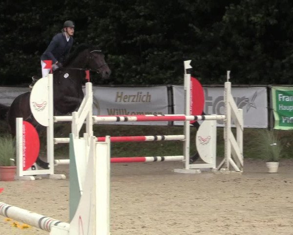 Reitturnier Meinerzhagen 2017