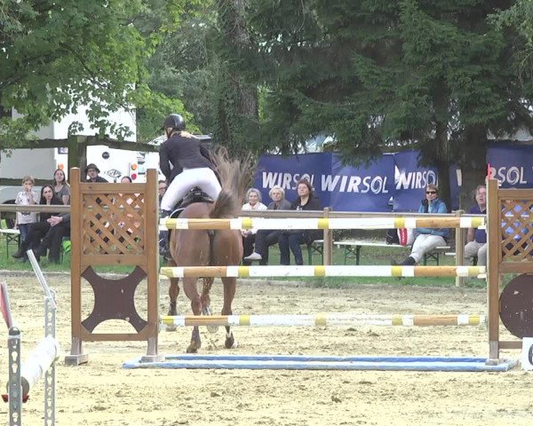 Reitturnier Walldorf/Winterheck 2017