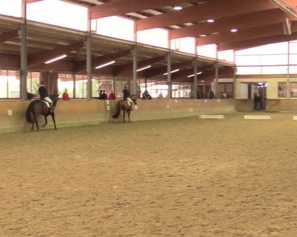 Reitturnier Appelhülsen 2017