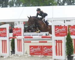 Zuchtstute Ma Lien S (Deutsches Reitpony, 2001, von Mentos)
