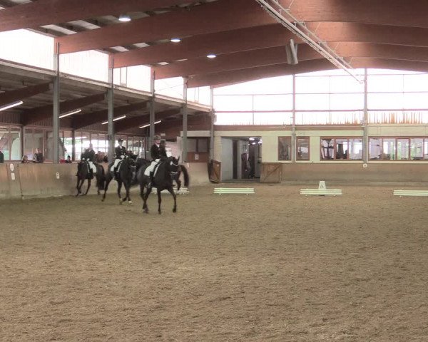 Reitturnier Appelhülsen 2017