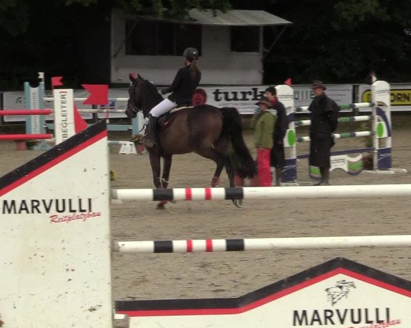 Reitturnier Meinerzhagen 2017