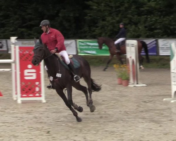 Reitturnier Meinerzhagen 2017