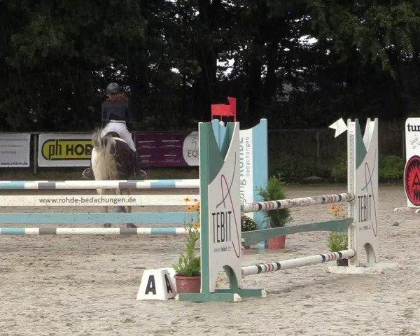 Reitturnier Meinerzhagen 2017