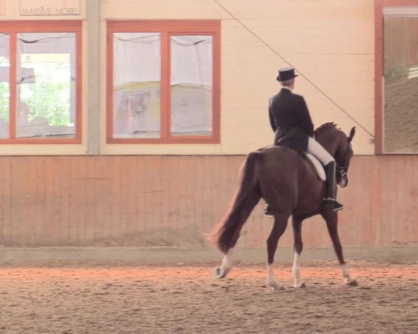 Reitturnier Appelhülsen 2017